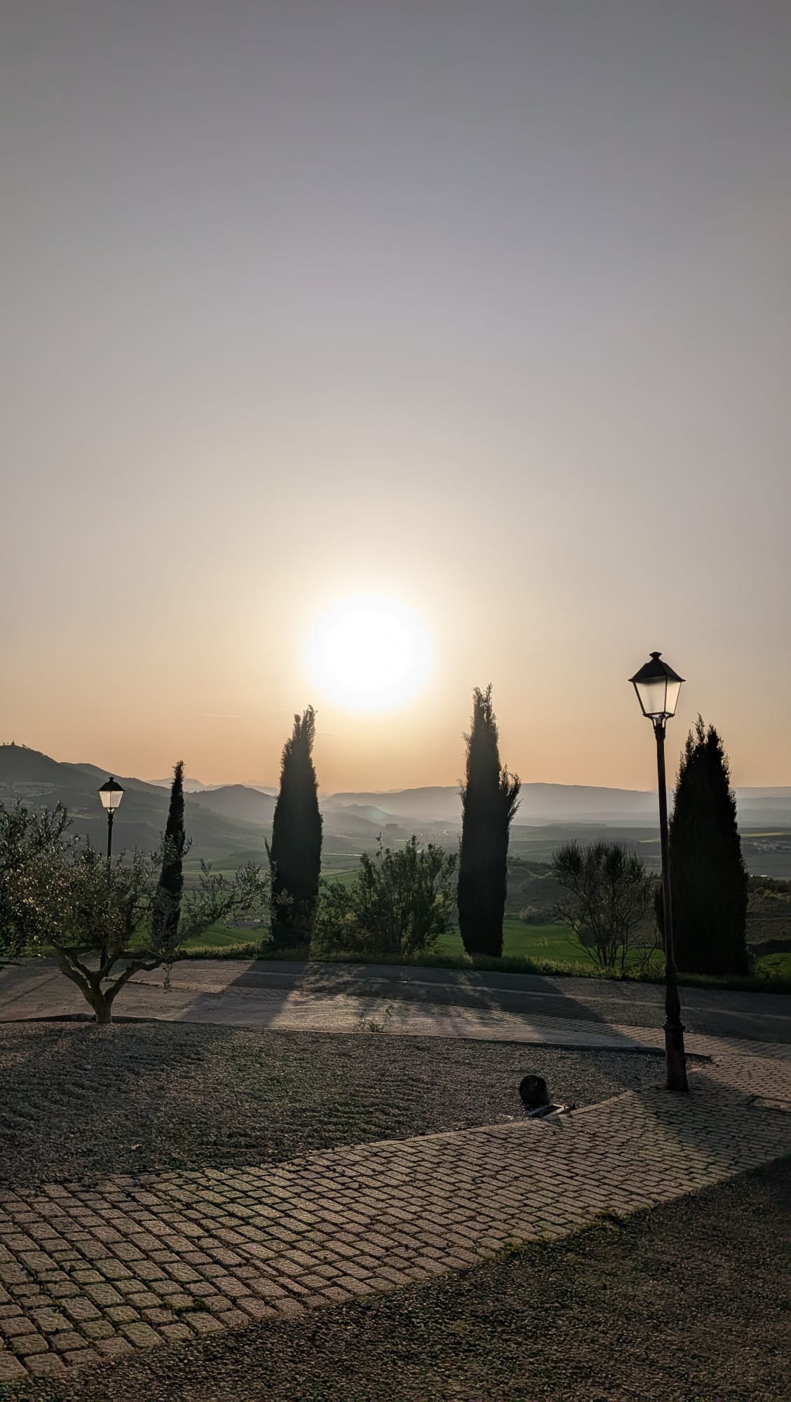Vista desde jardín